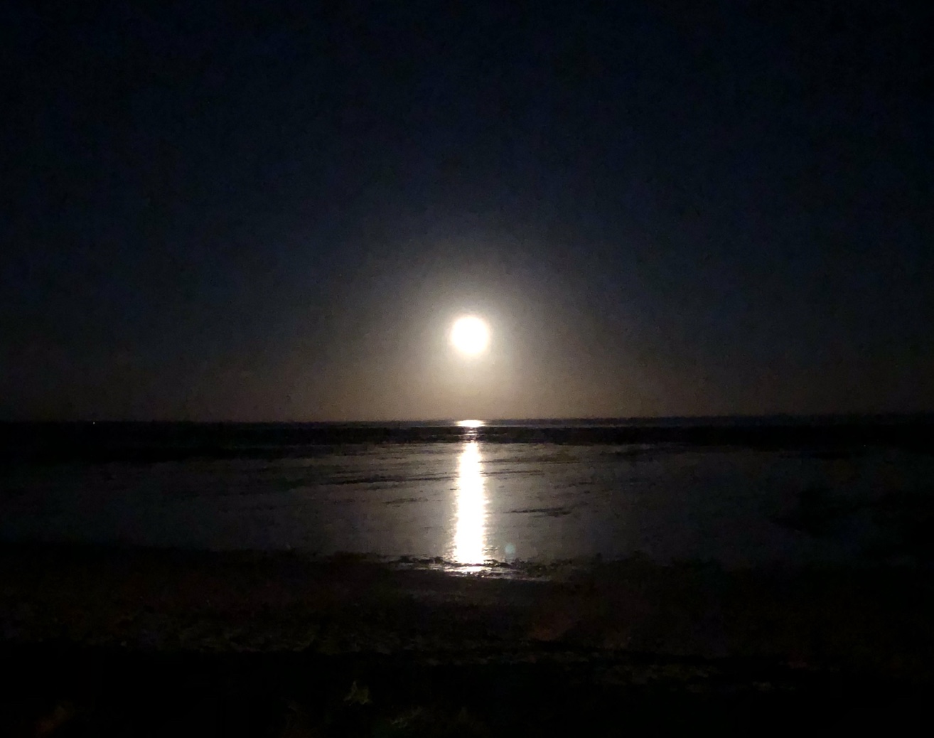 2020-08-04  'Stairway to the moon' - Broome